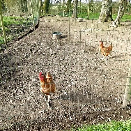 Frühstückspension Appart' Les Jards Bressuire