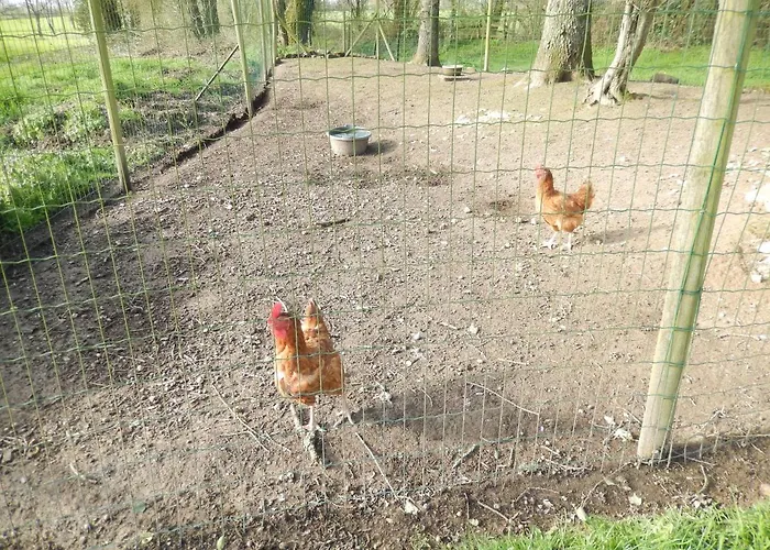 Bed & Breakfast Appart' Les Jards Bressuire