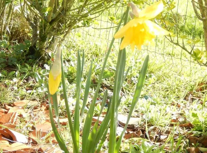 Appart' Les Jards Bressuire